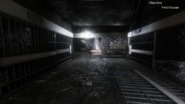 Synthetic Captive 