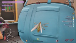   The Mosquito Gang