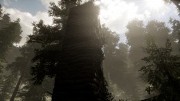 The Woods: VR Escape the Room 