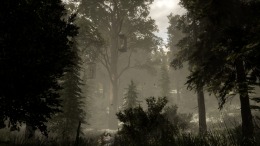   The Woods: VR Escape the Room