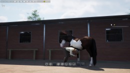 Unbridled: That Horse Game