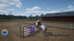   Unbridled: That Horse Game