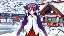   Yukikoi Melt