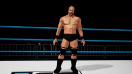   Action Arcade Wrestling