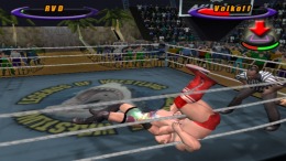   Action Arcade Wrestling