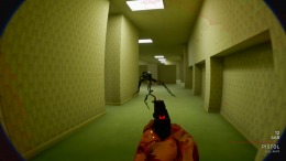  Backrooms Bodycam