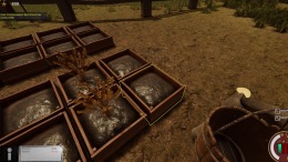 CRIXUS: Life of free Gladiator  PC