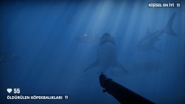   Death in the Water