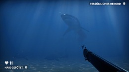   Death in the Water