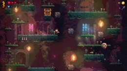 Dungeons of Clay  PC