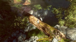  Fate Seeker II