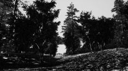 HARTS ISLAND  