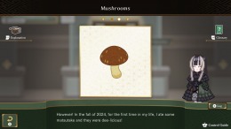   Juufuutei Raden's Guide for Pixel Museum