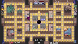   Maze Mice