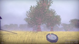  MIRO