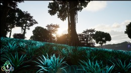  NaturesAscendancy