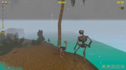 Ostrich Island  