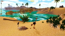   Ostrich Island