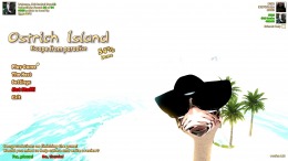  Ostrich Island