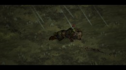   Raindancer