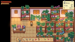  Sunshine Farm