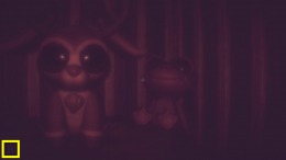   The Childs Sight