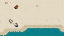 The Islander: Town Architect  