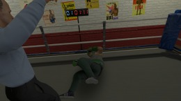  The Thrill of the Fight - VR Boxing