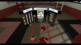   The Thrill of the Fight - VR Boxing