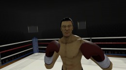 The Thrill of the Fight - VR Boxing 