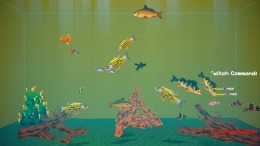  Tiny Aquarium: Social Fishkeeping