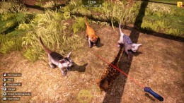 Animal Shelter 2  PC