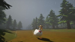  Ducky: The Curious