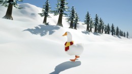 Ducky: The Curious 