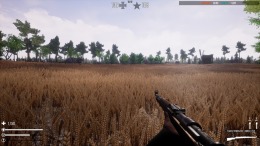 Fog of War 