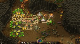   MoteMancer