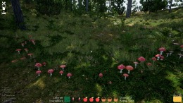 Mushroom Season  