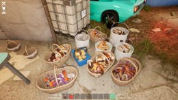  Mushroom Season