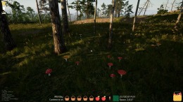   Mushroom Season