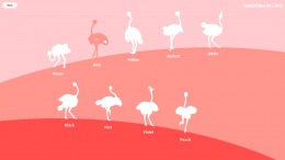   Ostrich Farm