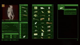 Project Silverfish  