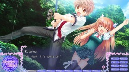 Rewrite Harvest festa!  
