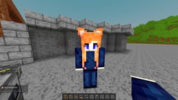  Voxel Eras