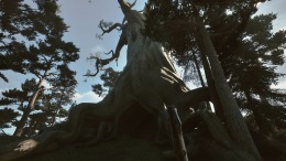  Among the Trolls