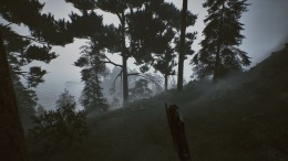   Among the Trolls