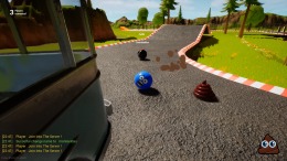   Ball Race Party
