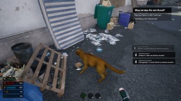   Bum: Revenge