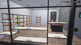 Figure Shop Simulator 