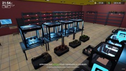   Figure Shop Simulator