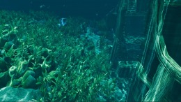 Island Notes  